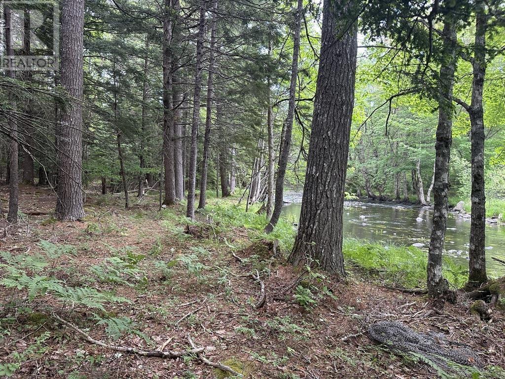 Lot 1 Wentzell Road, Baker Settlement, Nova Scotia  B4V 7J4 - Photo 8 - 202513367