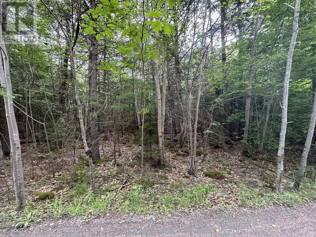 Lot 1 Wentzell Road, Baker Settlement, Nova Scotia  B4V 7J4 - Photo 18 - 202513367