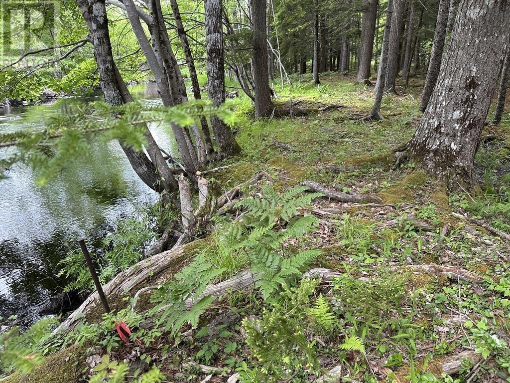 Lot 1 Wentzell Road, Baker Settlement, Nova Scotia  B4V 7J4 - Photo 2 - 202513367