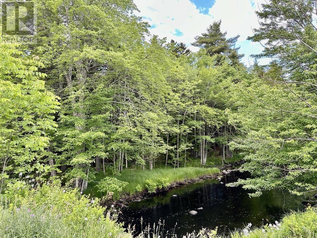 Lot 1 Wentzell Road, Baker Settlement, Nova Scotia  B4V 7J4 - Photo 9 - 202513367