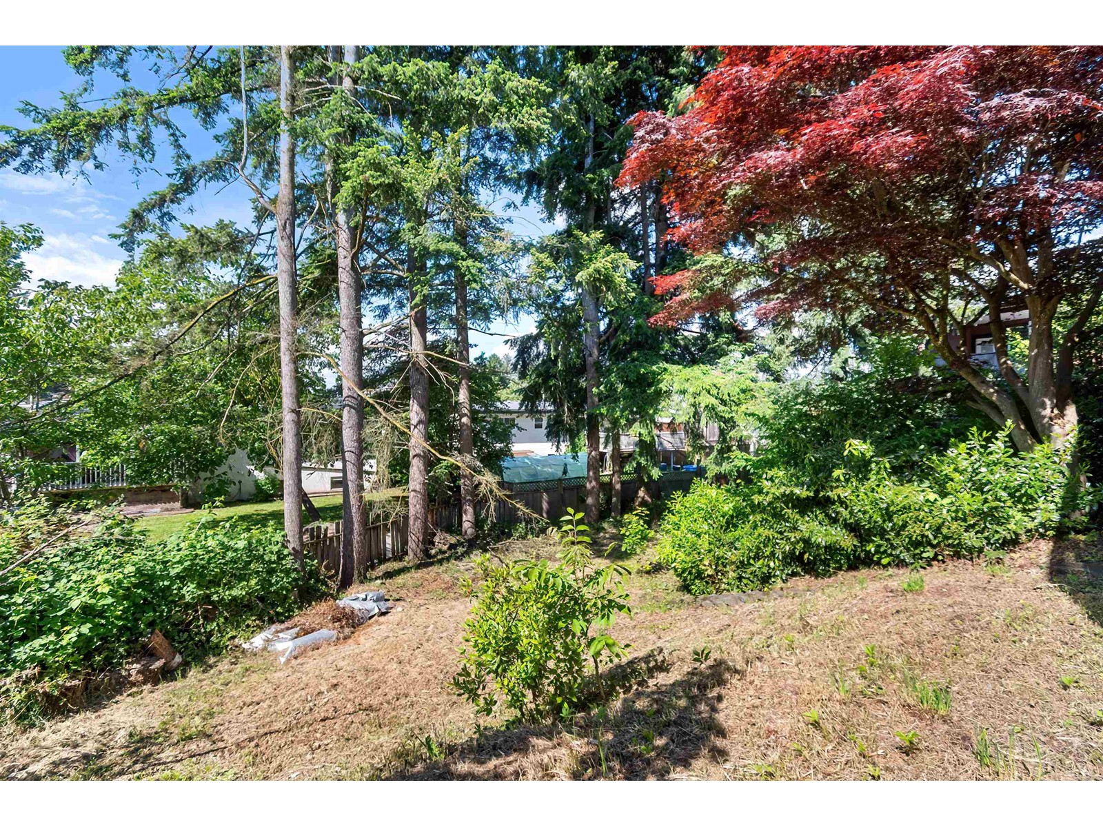 31925 Casper Court, Abbotsford, British Columbia  V2T 2J8 - Photo 36 - R3009937