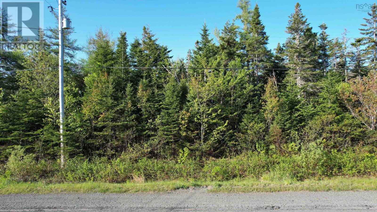 Birch Grove Road, Port Morien, Nova Scotia  B1B 1J3 - Photo 1 - 202513369