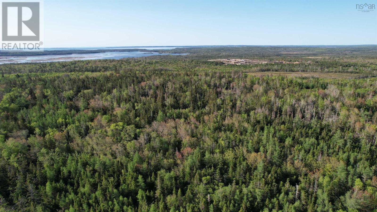 Birch Grove Road, Port Morien, Nova Scotia  B1B 1J3 - Photo 3 - 202513369