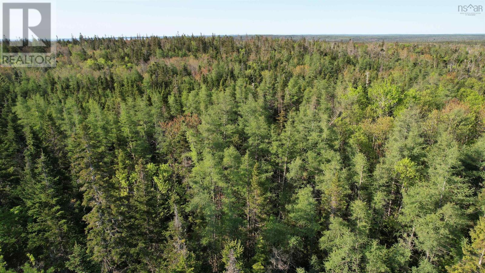 Birch Grove Road, Port Morien, Nova Scotia  B1B 1J3 - Photo 5 - 202513369