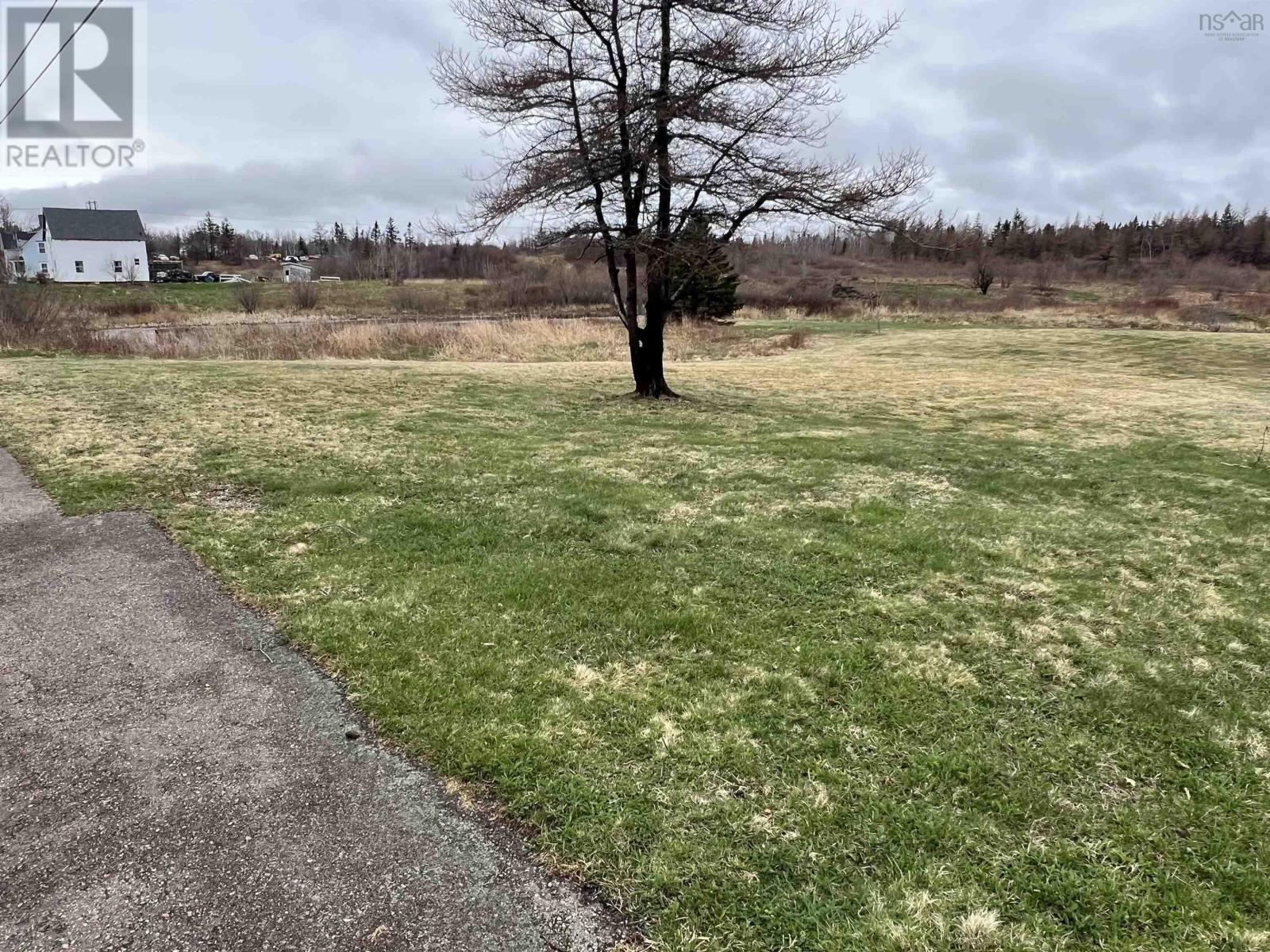 2017-1 Neville Street, Reserve Mines, Nova Scotia  B1E 1G5 - Photo 2 - 202513376