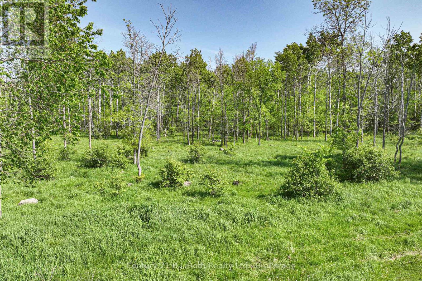 1579 Wainman Line, Severn, Ontario  L0K 1E0 - Photo 11 - S12195378