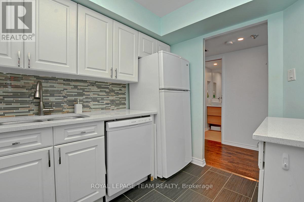 303 - 1500 Riverside Drive, Ottawa, Ontario  K1G 4J4 - Photo 9 - X12195358