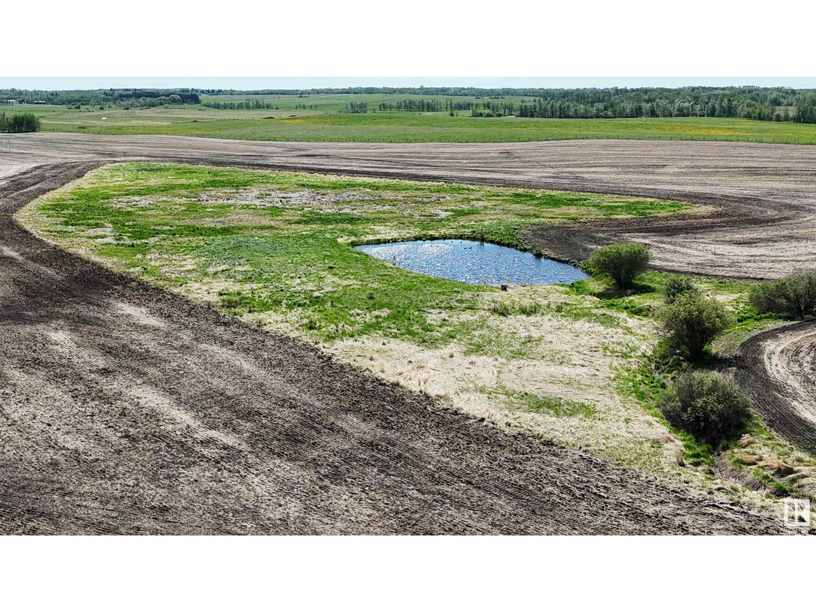 51111 Rr 233, Rural Strathcona County, Alberta  T8B 1K6 - Photo 71 - E4440272