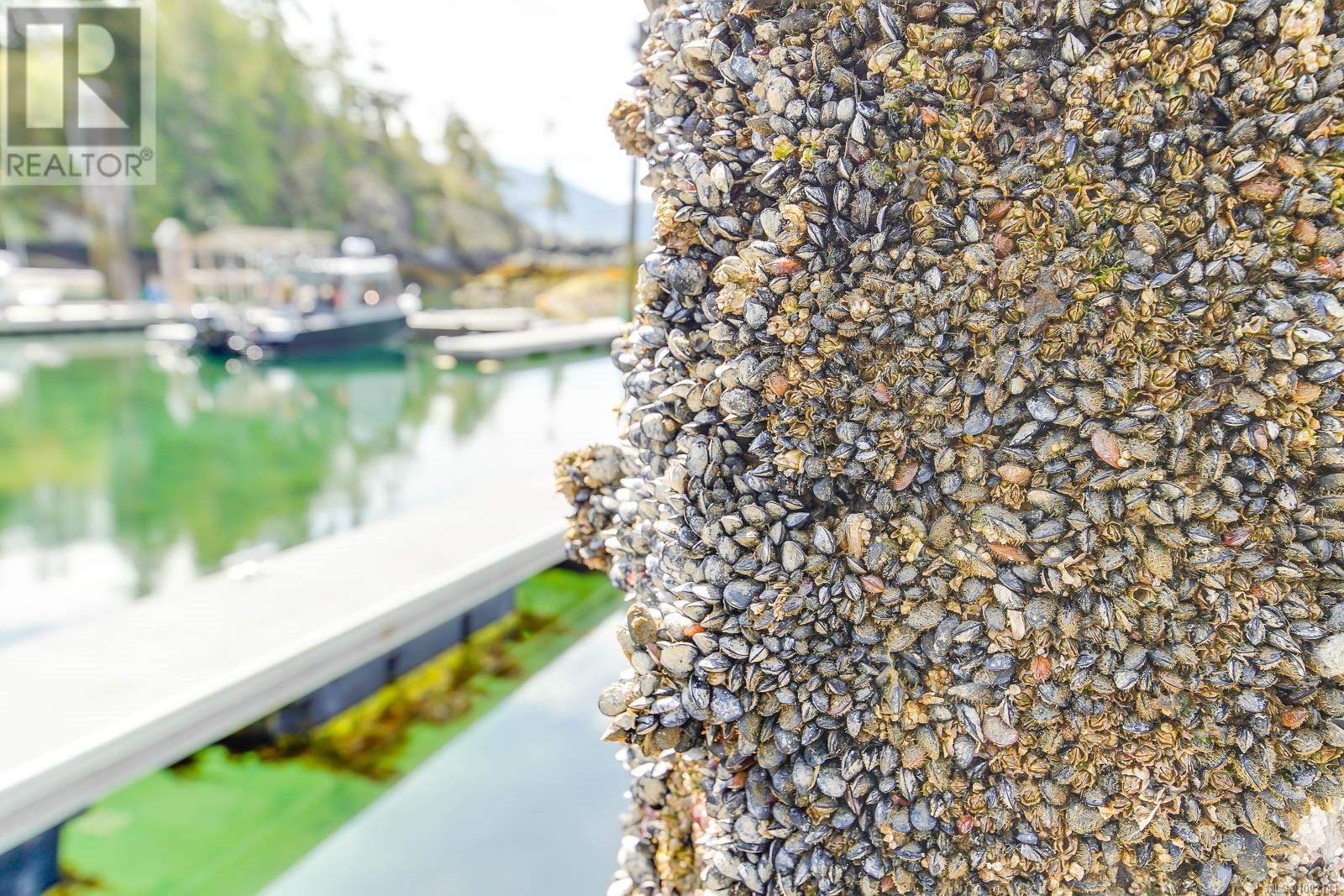 Lot 14 Haggard Cove, Bamfield, British Columbia  V9Y 8R2 - Photo 54 - 1002141