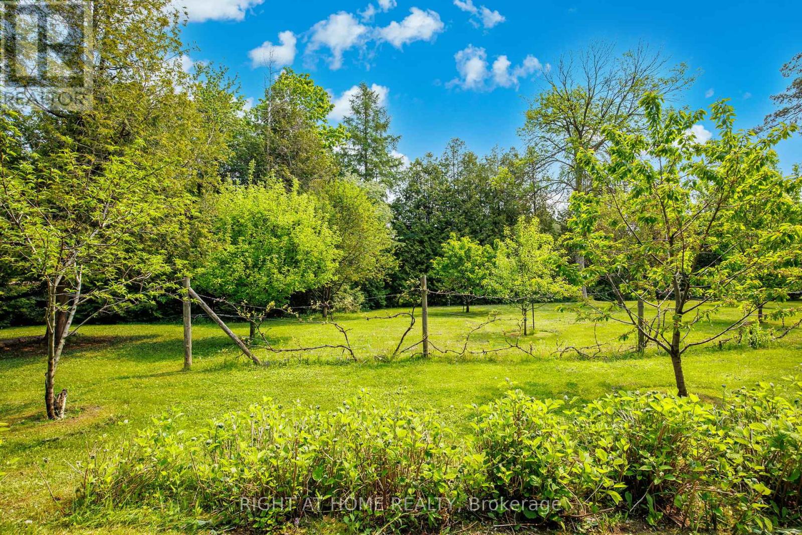 8 - 84048 Southgate Township Road, Southgate, Ontario  N0G 2L0 - Photo 29 - X12195440