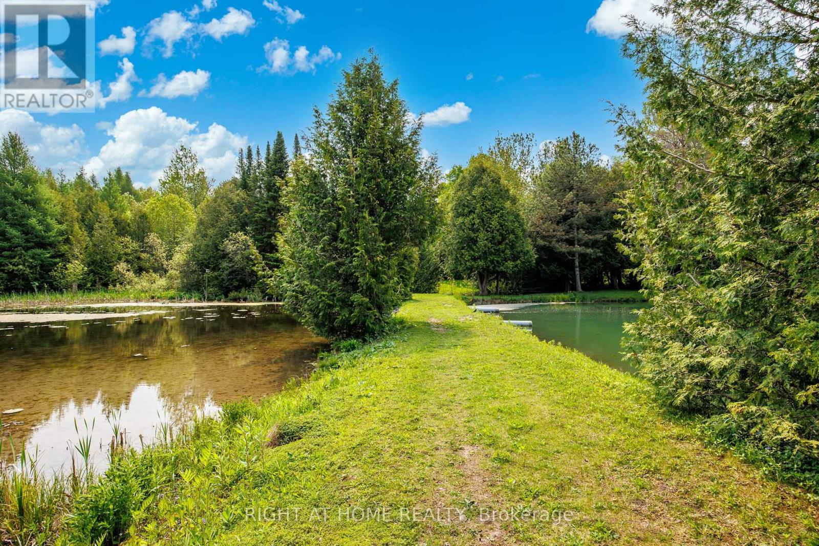 8 - 84048 Southgate Township Road, Southgate, Ontario  N0G 2L0 - Photo 36 - X12195440