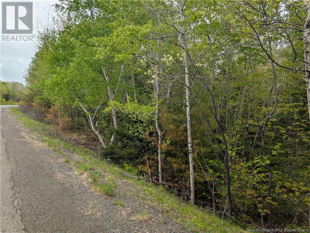 Property at Lot Route 102 image