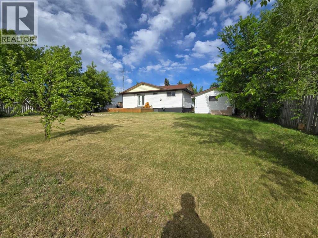 5006 51 Street, Myrnam, Alberta  T0B 3K0 - Photo 3 - A2226944