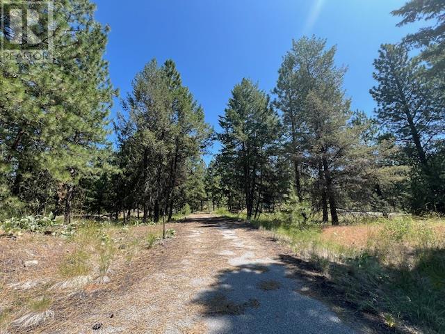Lot 12 Sasquatch Trail, Osoyoos, British Columbia  V0H 1V6 - Photo 14 - 10336632