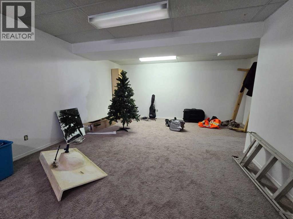 5006 51 Street, Myrnam, Alberta  T0B 3K0 - Photo 21 - A2226944