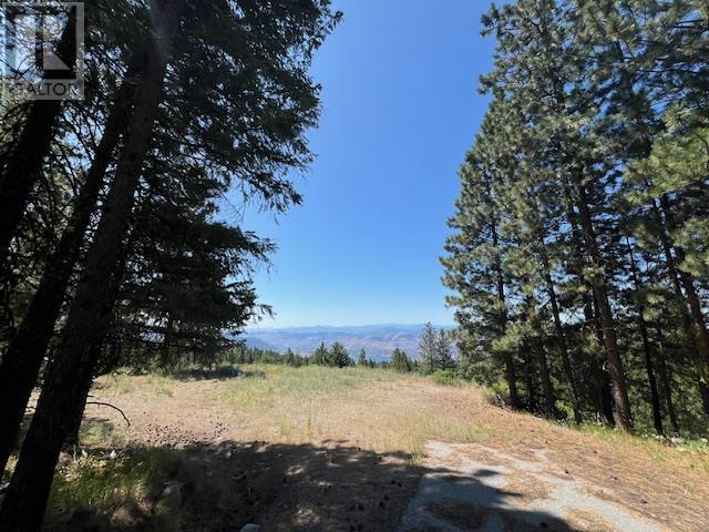 Lot 12 Sasquatch Trail, Osoyoos, British Columbia  V0H 1V6 - Photo 11 - 10336632