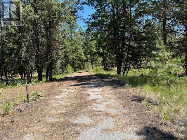 Lot 12 Sasquatch Trail, Osoyoos, British Columbia  V0H 1V6 - Photo 9 - 10336632