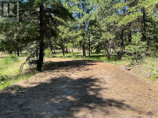Lot 12 Sasquatch Trail, Osoyoos, British Columbia  V0H 1V6 - Photo 8 - 10336632