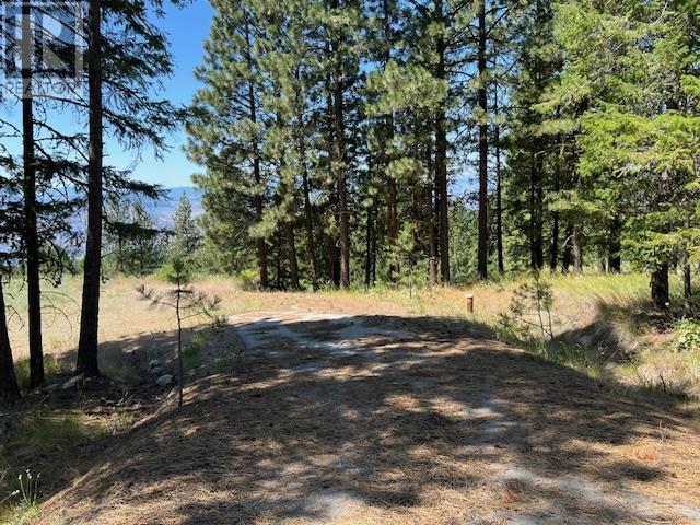 Lot 12 Sasquatch Trail, Osoyoos, British Columbia  V0H 1V6 - Photo 10 - 10336632
