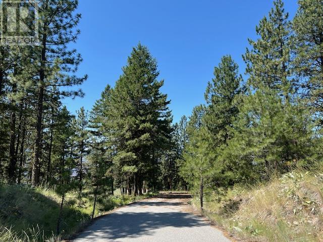 Lot 12 Sasquatch Trail, Osoyoos, British Columbia  V0H 1V6 - Photo 6 - 10336632
