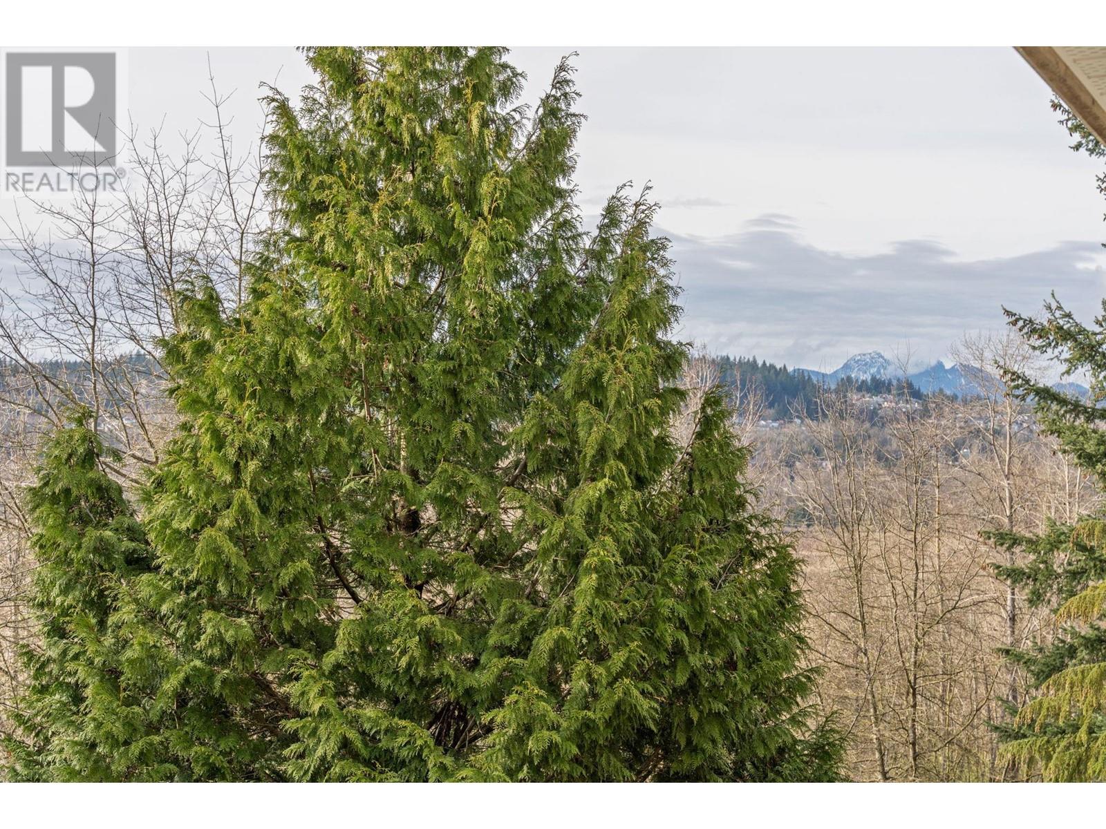 5 915 Fort Fraser Rise, Port Coquitlam, British Columbia  V3C 6K3 - Photo 33 - R3011232