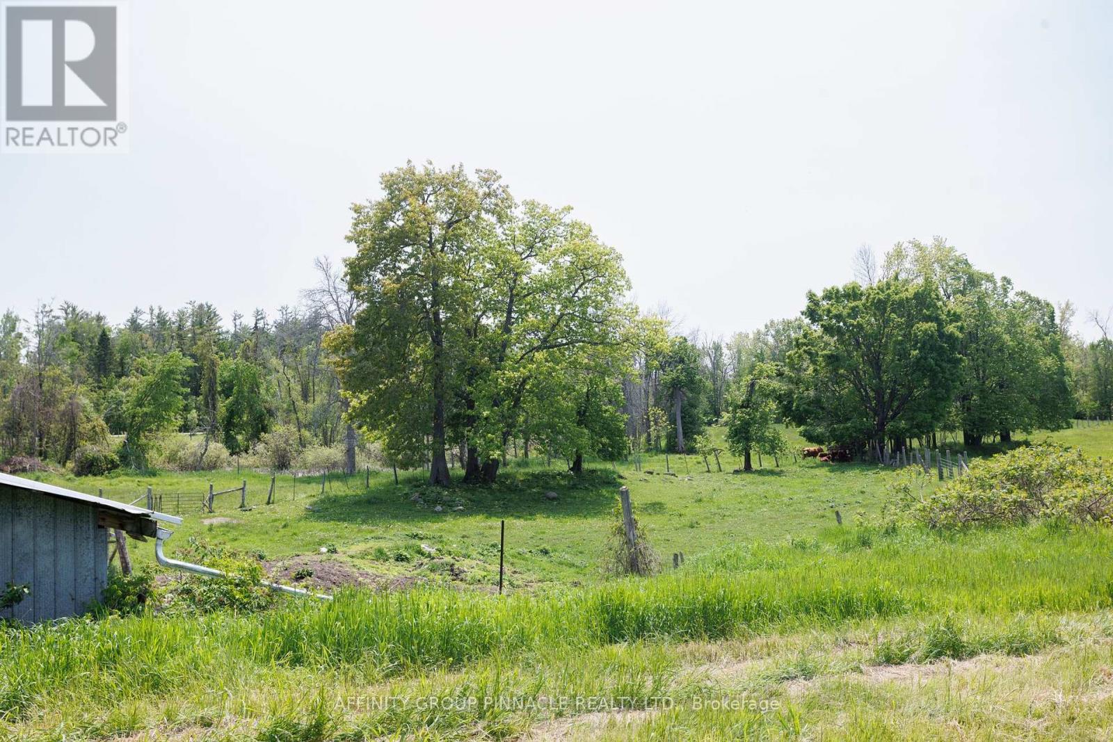 5985 Hwy 35, Kawartha Lakes, Ontario K0M 1G0 - Photo 43 - X12195797
