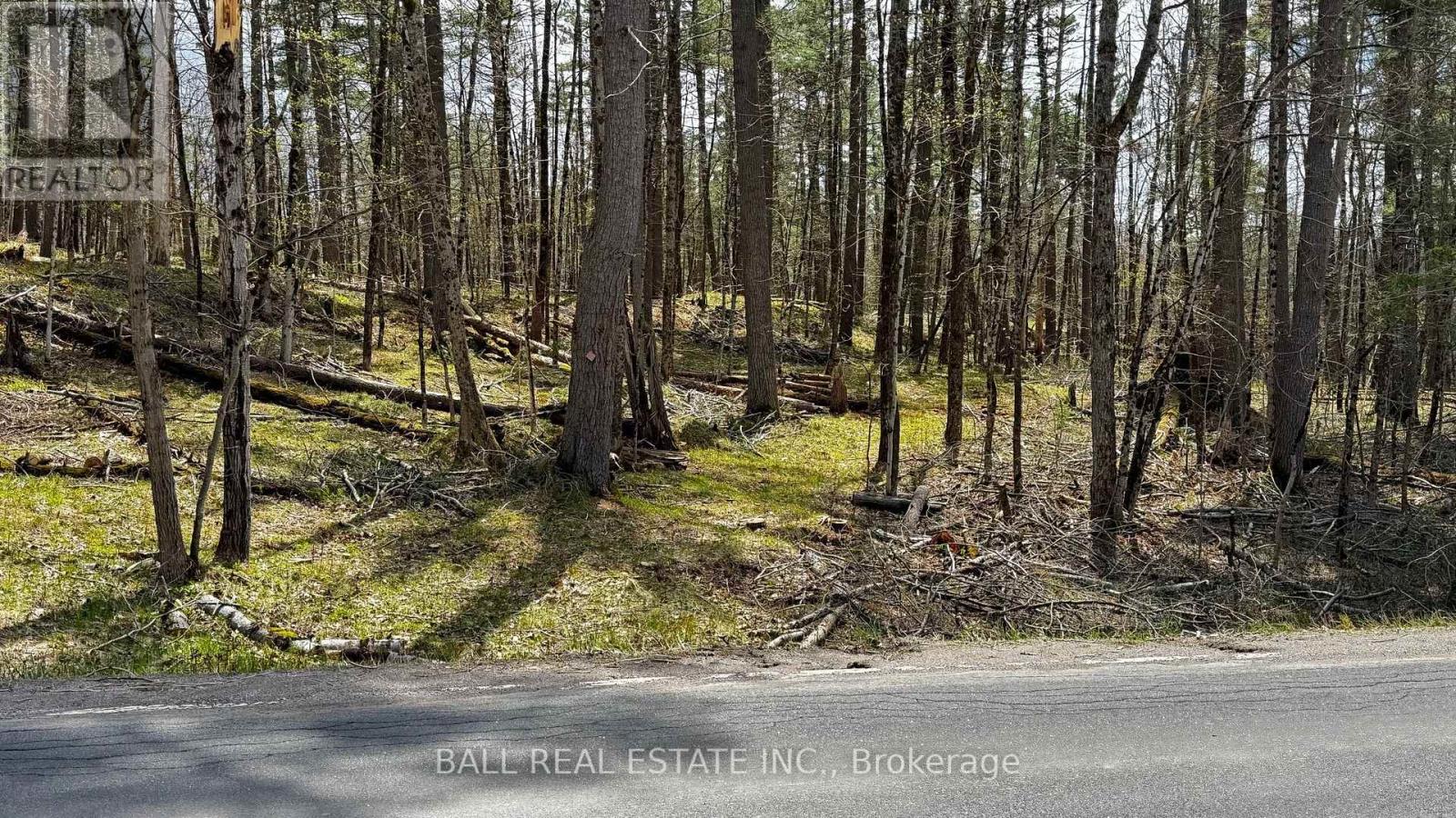 2348 Northeys Bay Road, North Kawartha, Ontario  K0L 2H0 - Photo 12 - X12195823