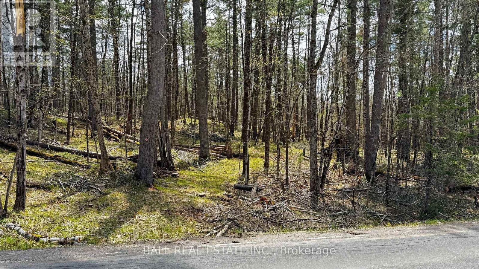 2348 Northeys Bay Road, North Kawartha, Ontario  K0L 2H0 - Photo 13 - X12195823