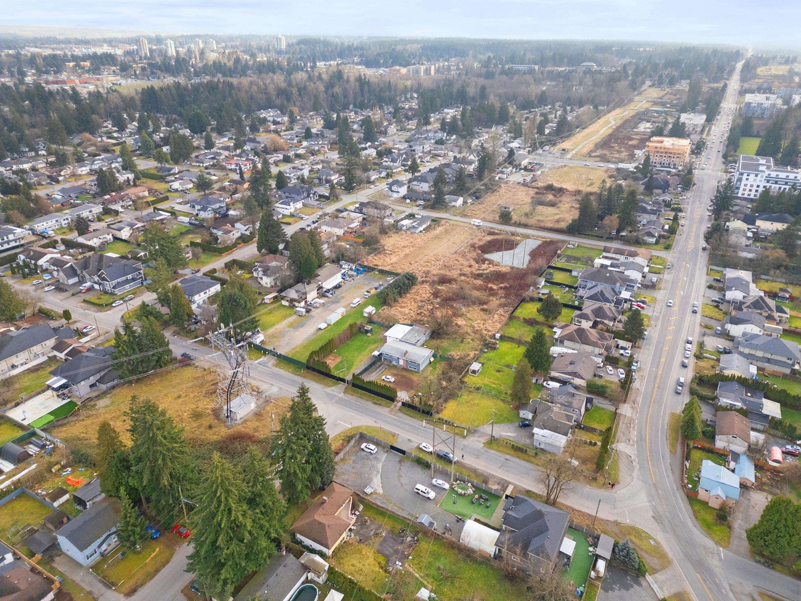 14042 110 Avenue, Surrey, British Columbia  V3R 1Z2 - Photo 6 - R3011264