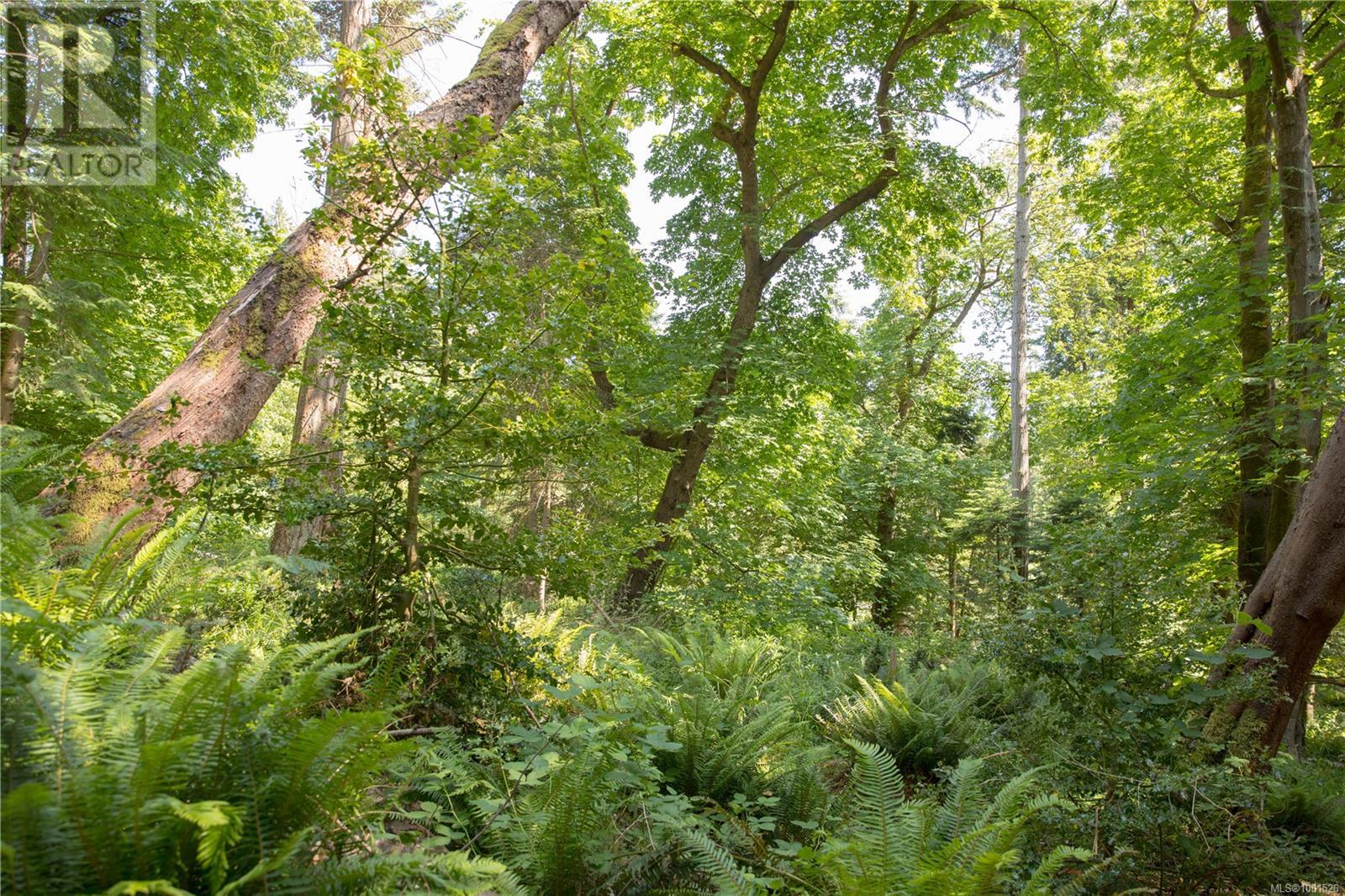 1925 Ferne Rd, Gabriola Island, British Columbia  V0R 1X6 - Photo 24 - 1001526
