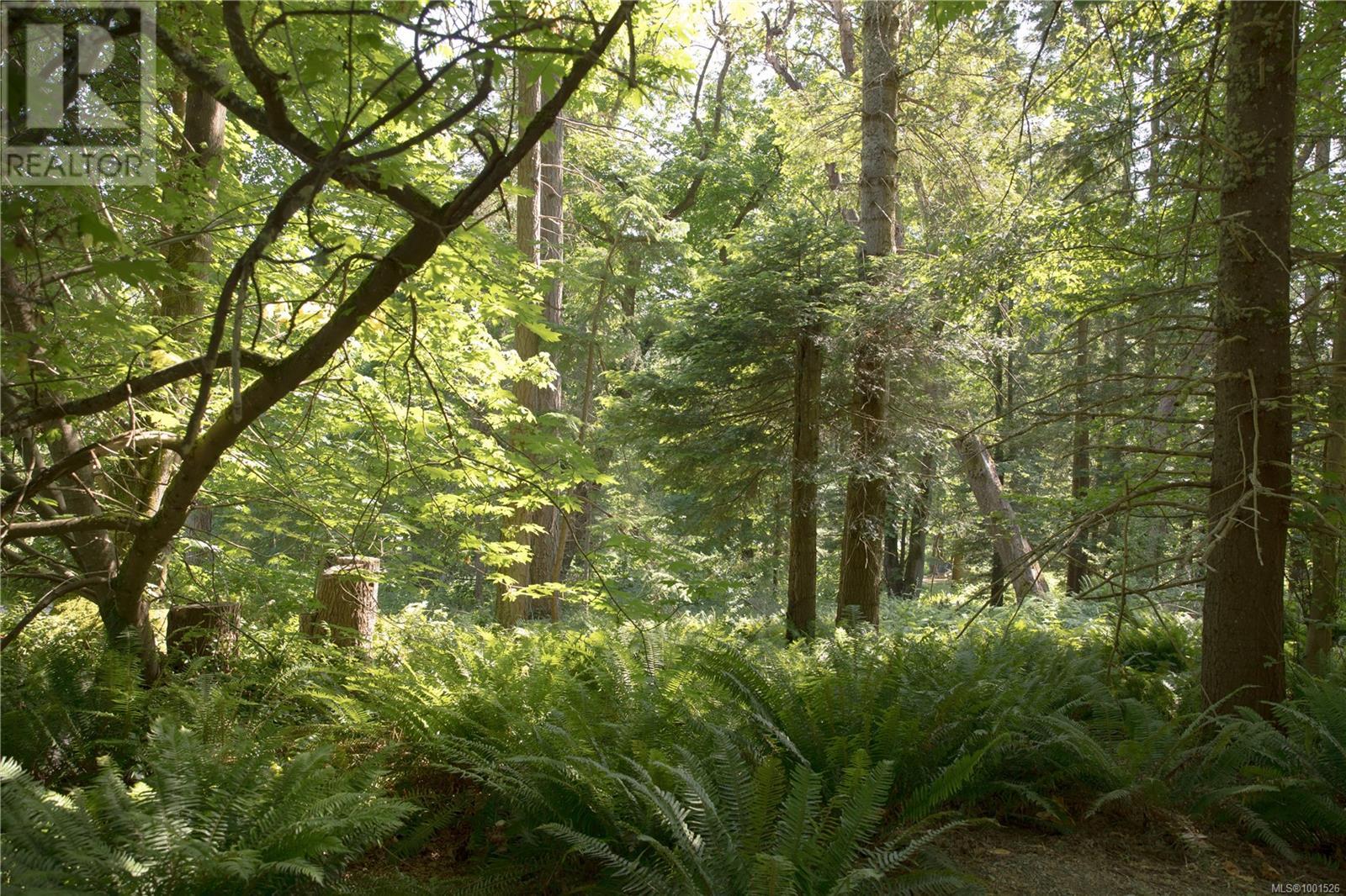 1925 Ferne Rd, Gabriola Island, British Columbia  V0R 1X6 - Photo 26 - 1001526