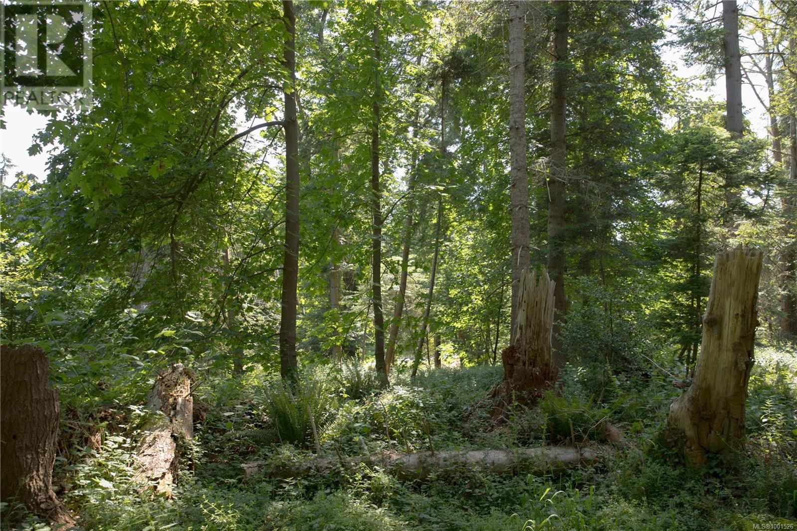 1925 Ferne Rd, Gabriola Island, British Columbia  V0R 1X6 - Photo 27 - 1001526