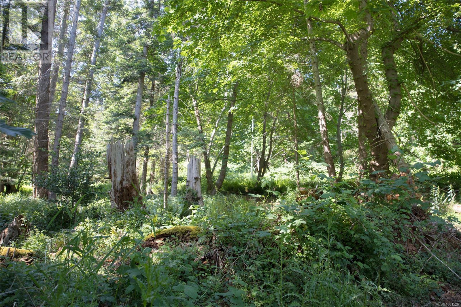 1925 Ferne Rd, Gabriola Island, British Columbia  V0R 1X6 - Photo 8 - 1001526