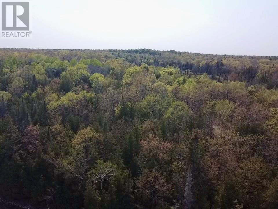 514 B East Road, Mindemoya, Ontario  P0P 1S0 - Photo 12 - 2122652