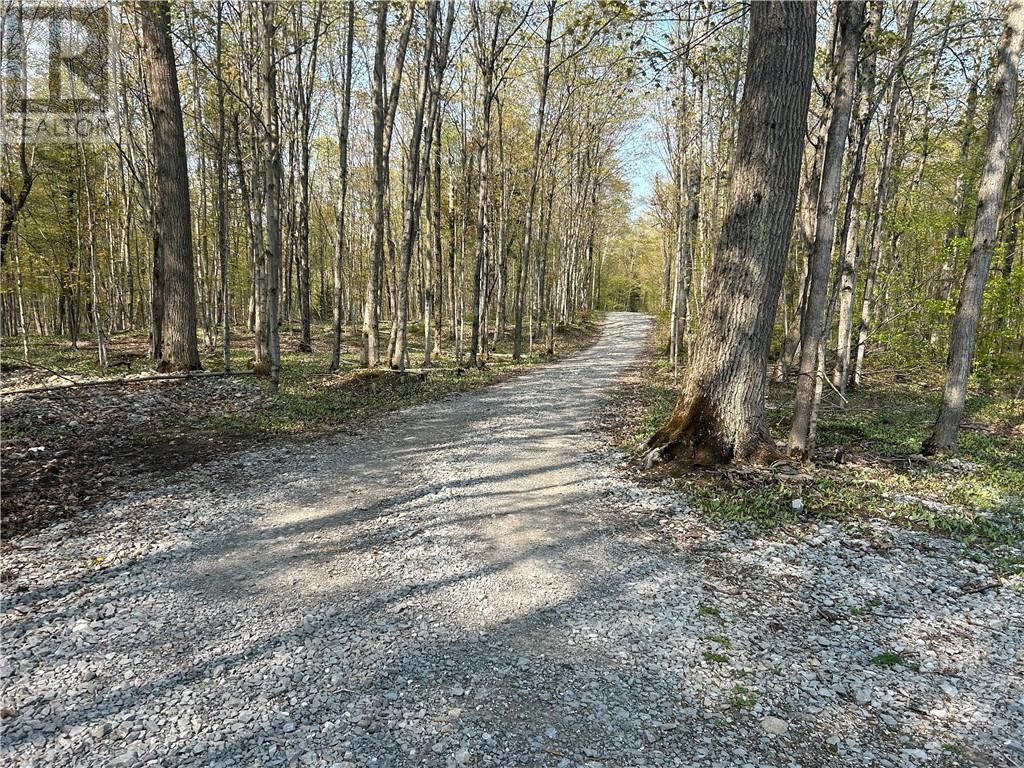 514 B East Road, Mindemoya, Ontario  P0P 1S0 - Photo 7 - 2122652