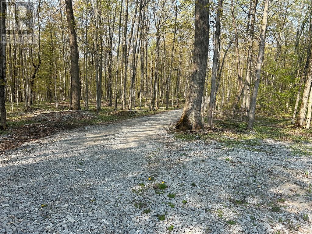 514 B East Road, Mindemoya, Ontario  P0P 1S0 - Photo 8 - 2122652