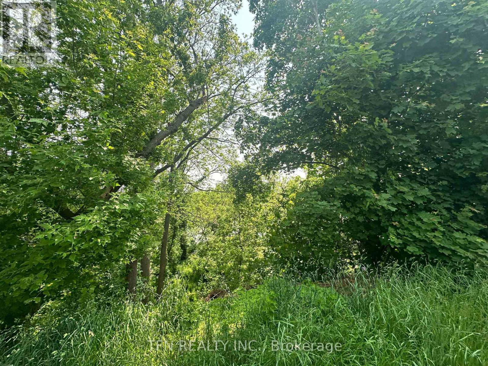 489 Caithness Street E, Haldimand, Ontario  N3W 1B2 - Photo 4 - X12195961