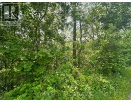 489 CAITHNESS STREET E, Haldimand, Ontario