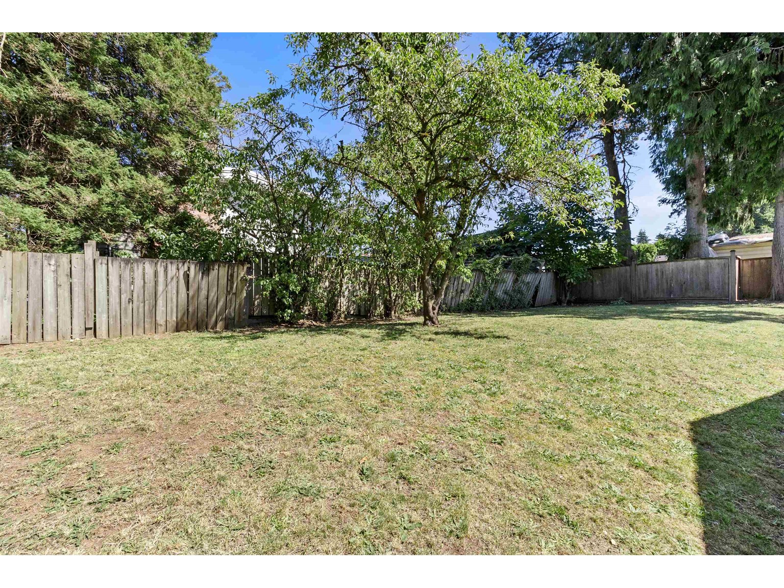 2551 Adelaide Street, Abbotsford, British Columbia  V2T 3L9 - Photo 35 - R3010638