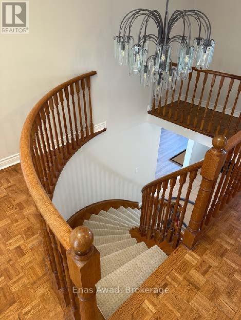 25 Mulholland Avenue, Toronto, Ontario  M6A 2S1 - Photo 25 - W12118321