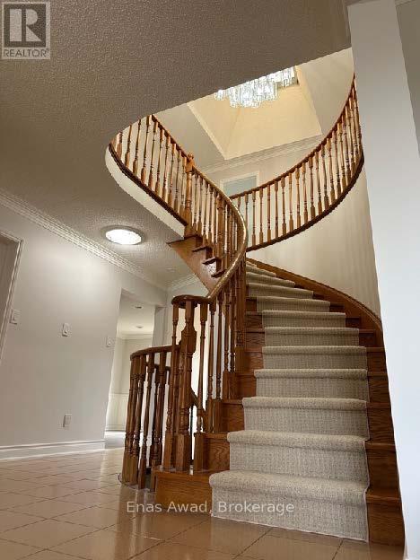 25 Mulholland Avenue, Toronto, Ontario  M6A 2S1 - Photo 8 - W12118321