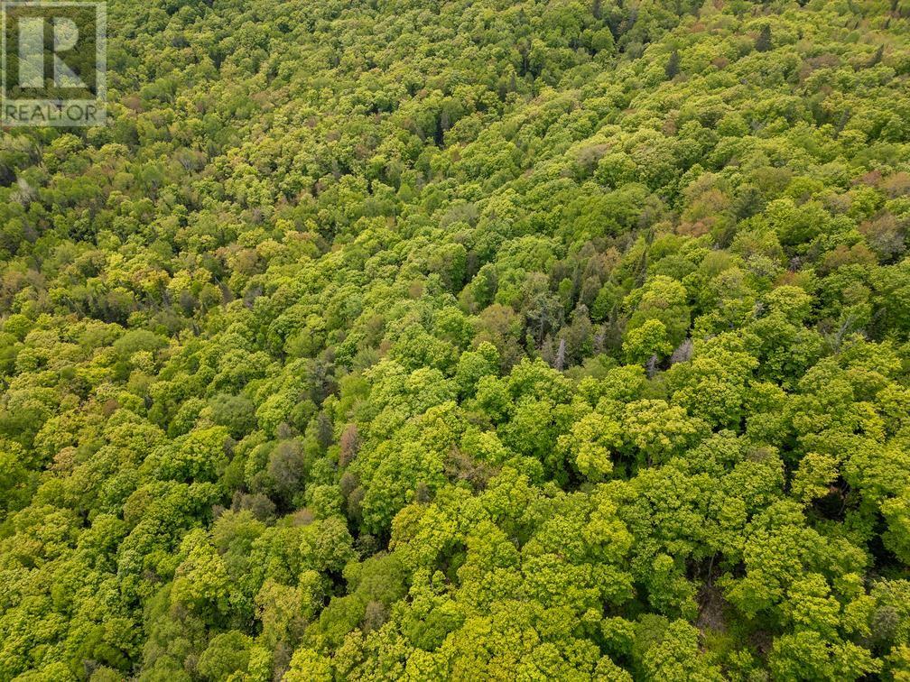 Con 6 Lot 9 Parcel 2720, Searchmont, Ontario  P0S 1J0 - Photo 11 - SM251409
