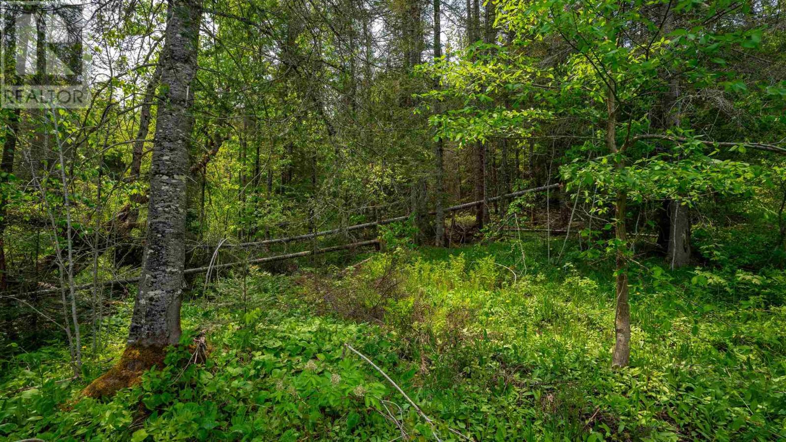 Con 6 Lot 9 Parcel 2720, Searchmont, Ontario  P0S 1J0 - Photo 23 - SM251409