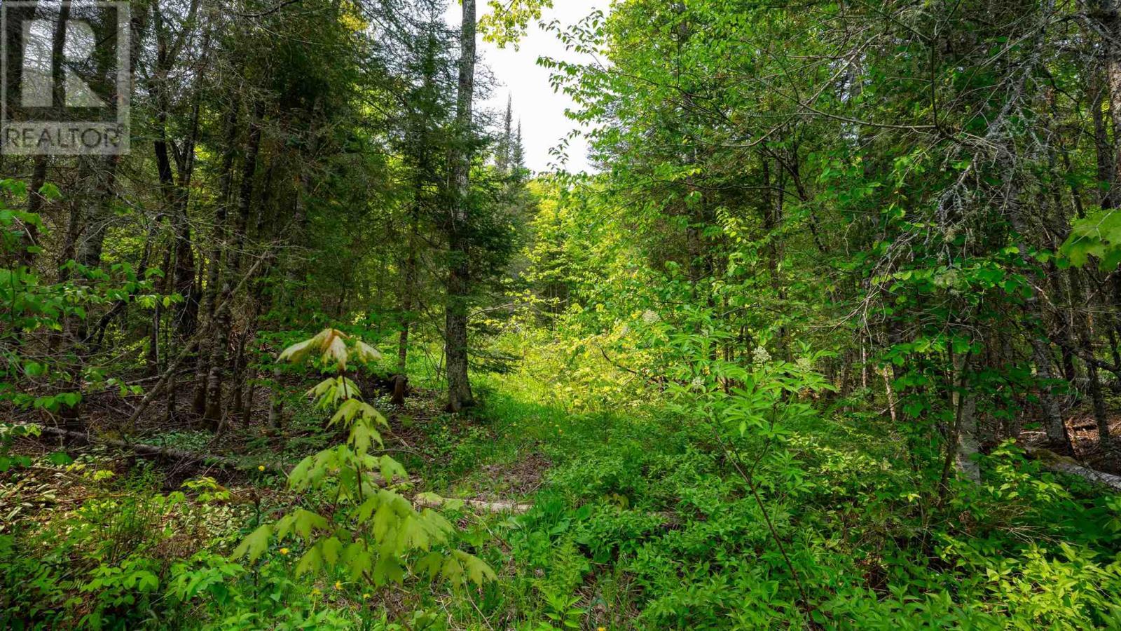 Con 6 Lot 9 Parcel 2720, Searchmont, Ontario  P0S 1J0 - Photo 24 - SM251409