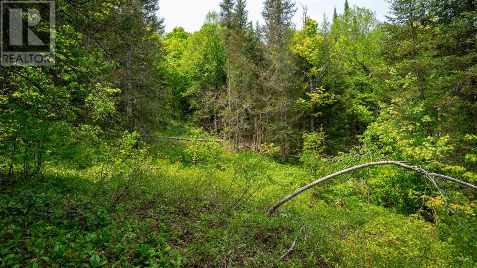 Con 6 Lot 9 Parcel 2720, Searchmont, Ontario  P0S 1J0 - Photo 25 - SM251409