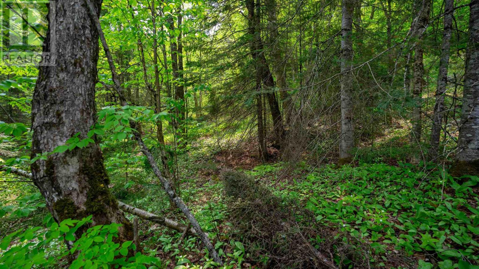 Con 6 Lot 9 Parcel 2720, Searchmont, Ontario  P0S 1J0 - Photo 26 - SM251409