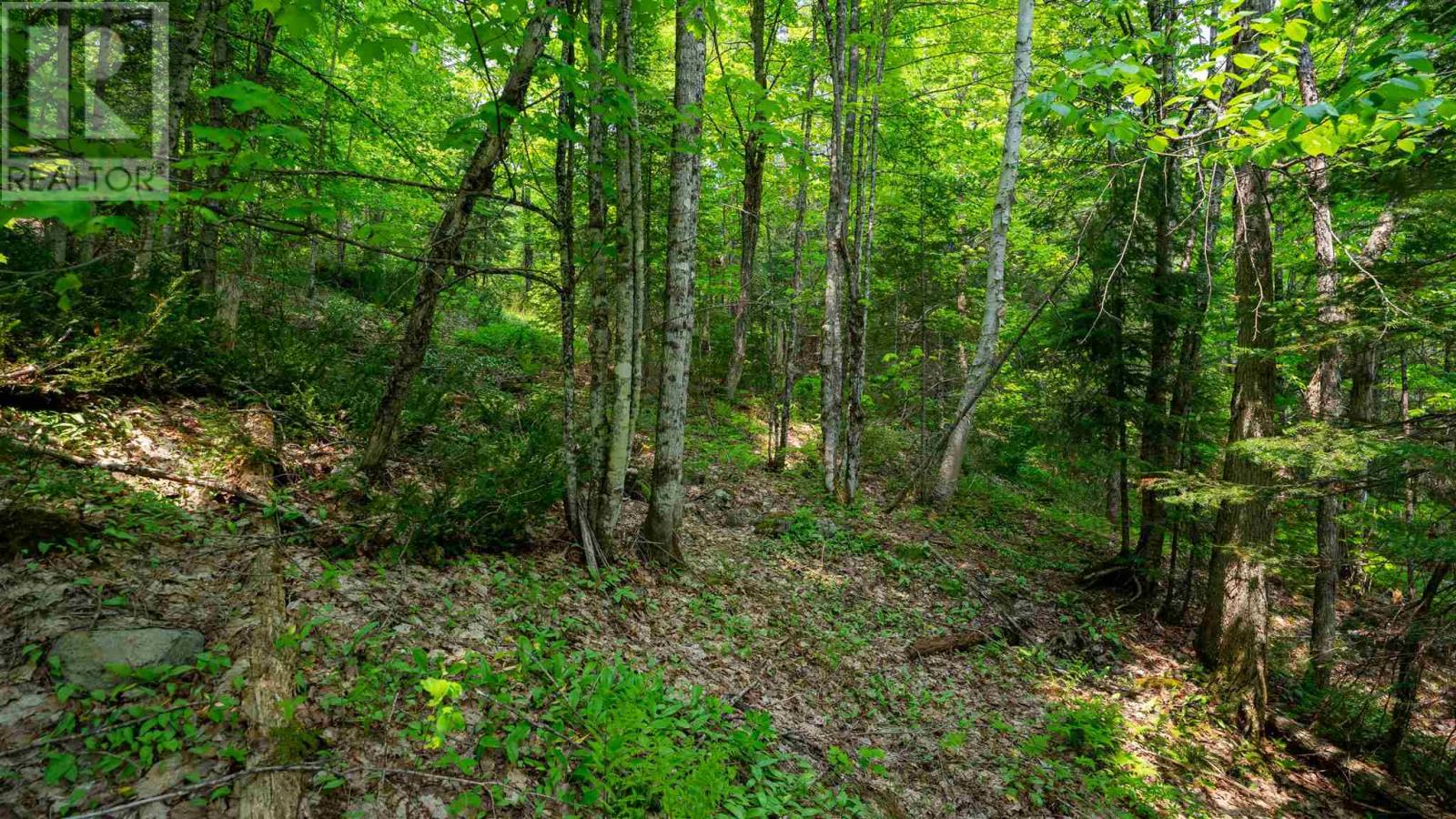 Con 6 Lot 9 Parcel 2720, Searchmont, Ontario  P0S 1J0 - Photo 27 - SM251409