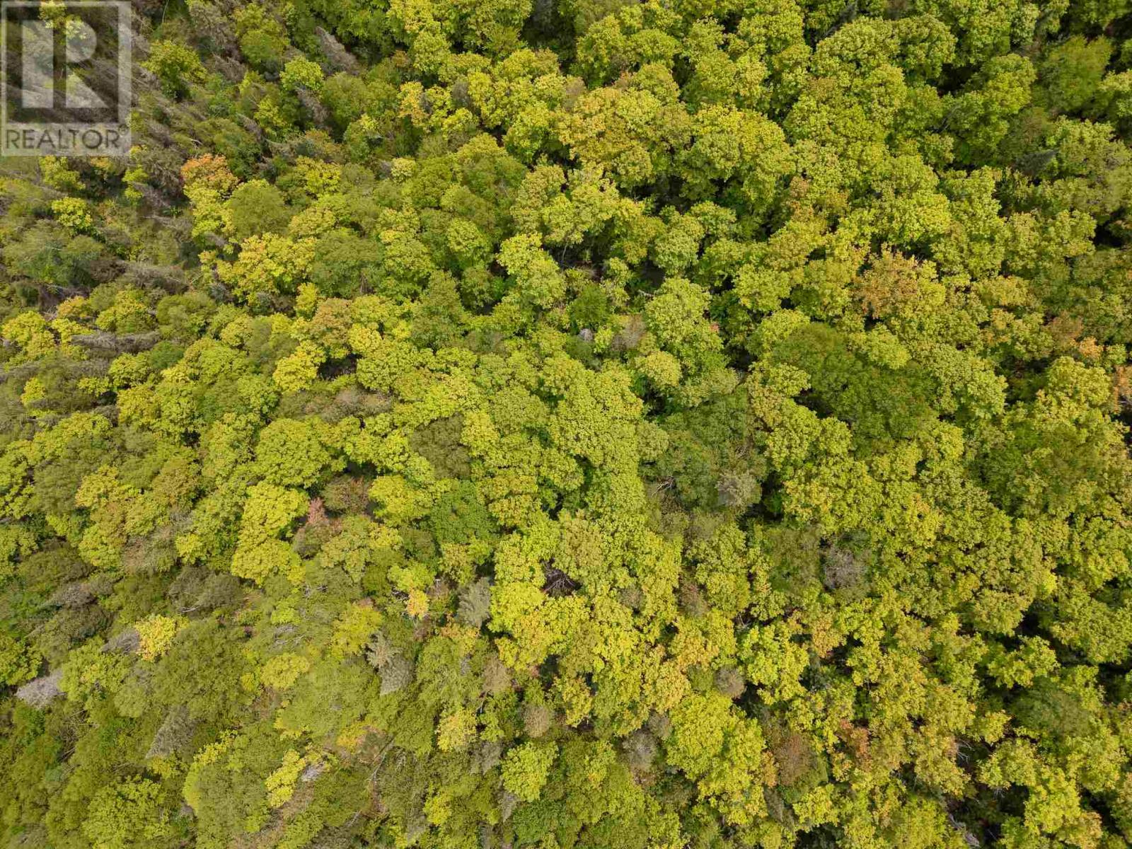 Con 6 Lot 9 Parcel 2720, Searchmont, Ontario  P0S 1J0 - Photo 28 - SM251409