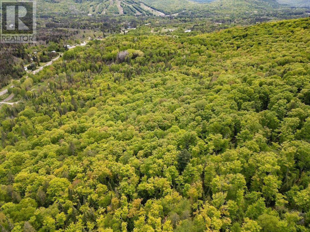 Con 6 Lot 9 Parcel 2720, Searchmont, Ontario  P0S 1J0 - Photo 4 - SM251409