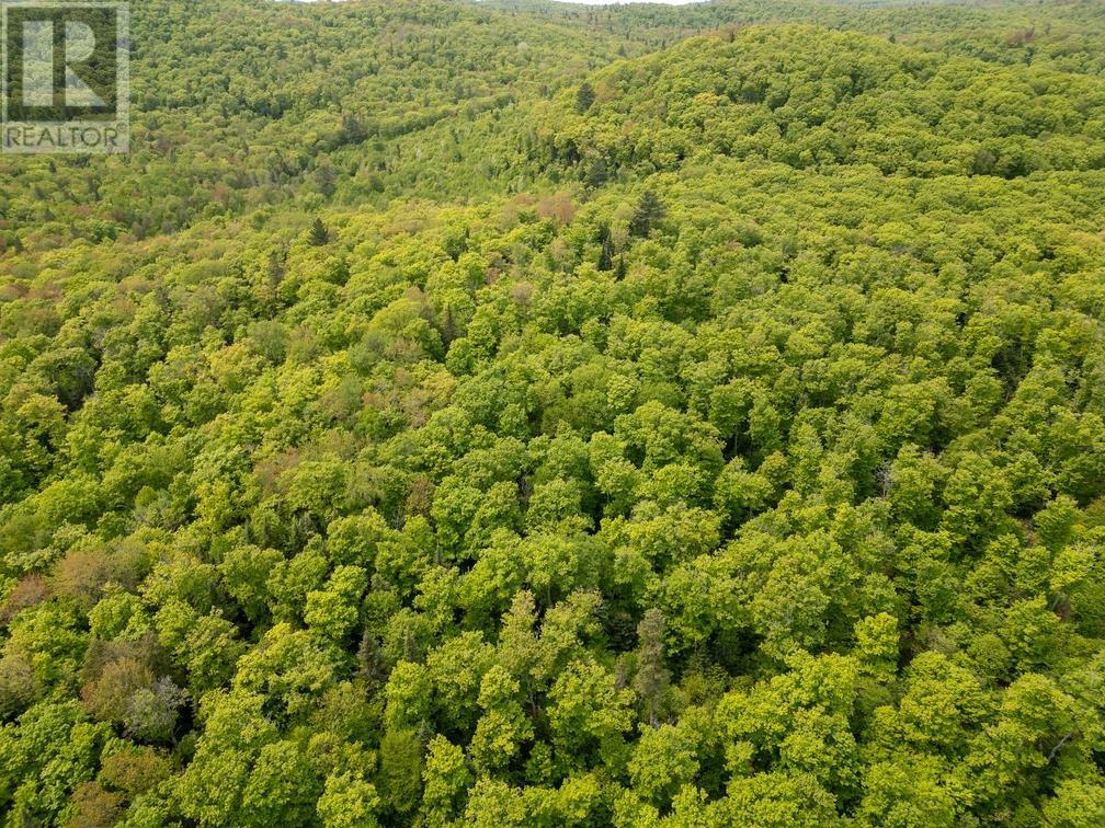 Con 6 Lot 9 Parcel 2720, Searchmont, Ontario  P0S 1J0 - Photo 9 - SM251409